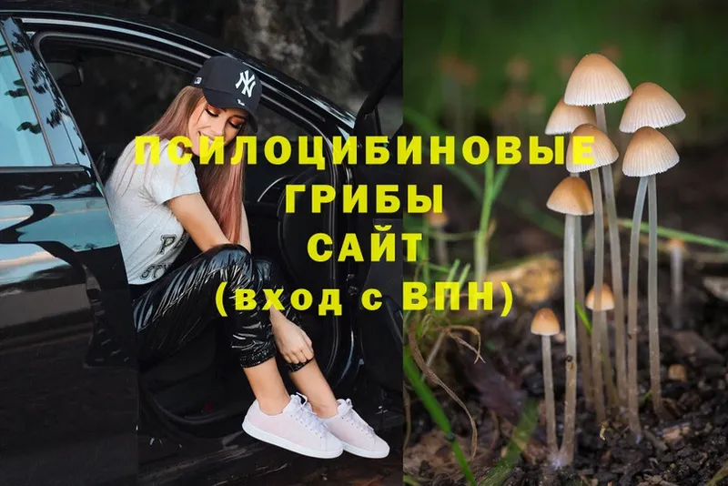 Псилоцибиновые грибы MAGIC MUSHROOMS  наркошоп  Майский 